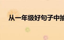 从一年级好句子中抽取10个单词 简单的