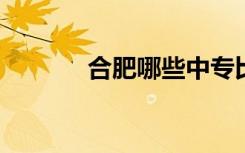 合肥哪些中专比较好详细介绍