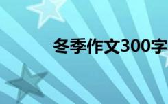 冬季作文300字小学生优秀作文