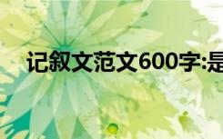 记叙文范文600字:是什么光给了我启示？