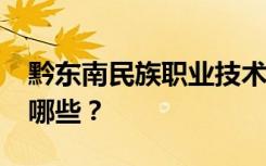 黔东南民族职业技术学院2022年招生专业有哪些？