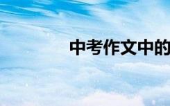 中考作文中的神仙句子摘录