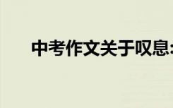 中考作文关于叹息:在王腾馆 轻轻叹息
