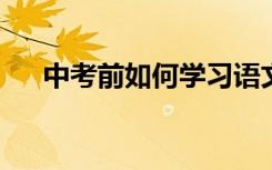 中考前如何学习语文 有哪些学习技巧？