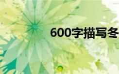600字描写冬景的范文精选