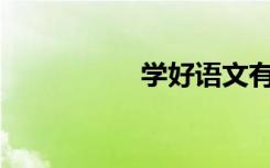 学好语文有哪些方法？