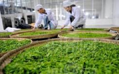 2022年植保专业的就业方向和前景如何？