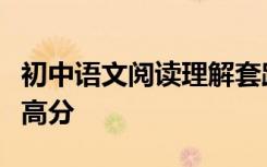 初中语文阅读理解套路如何在阅读理解中取得高分