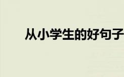 从小学生的好句子中抽取约50个单词