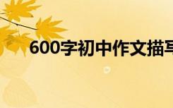 600字初中作文描写冬天风景的小作文