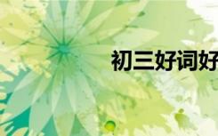 初三好词好句摘录较短
