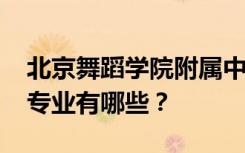 北京舞蹈学院附属中等音乐学校2022年招生专业有哪些？