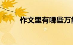 作文里有哪些万能又漂亮的句子？