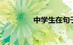 中学生在句子中适合摘抄
