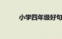 小学四年级好句子的摘抄与积累