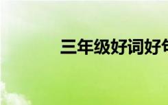 三年级好词好句的摘抄与积累