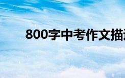 800字中考作文描述过程:走完这一段