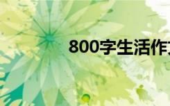 800字生活作文:生活的意义