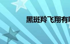 黑斑羚飞翔有哪些好词好句？