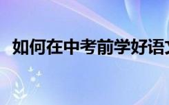 如何在中考前学好语文？有哪些学习方法？