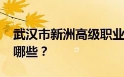 武汉市新洲高级职业中学2022年招生专业有哪些？