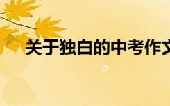 关于独白的中考作文:风暴中的我的独白