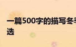 一篇500字的描写冬季风景的优秀散文范文精选