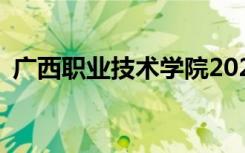 广西职业技术学院2022年招生专业有哪些？