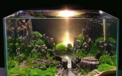 水族科技2022年的专业就业方向和就业前景如何？