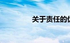 关于责任的优雅开始积累