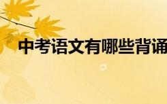 中考语文有哪些背诵技巧 如何提高成绩？