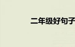二年级好句子的摘抄和积累