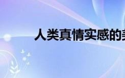 人类真情实感的美丽句子有哪些？