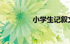 小学生记叙文400字节选