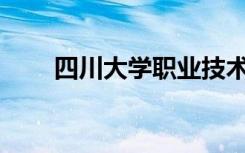 四川大学职业技术学院有哪些专业？