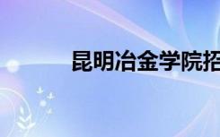 昆明冶金学院招生专业有哪些？