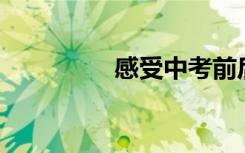 感受中考前后500字作文