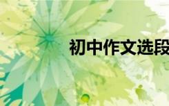 初中作文选段描写冬日美景