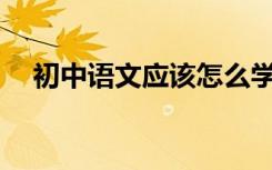 初中语文应该怎么学？有哪些好的方法？
