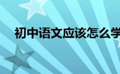 初中语文应该怎么学？有哪些学习方法？