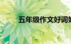 五年级作文好词好句的摘抄与积累