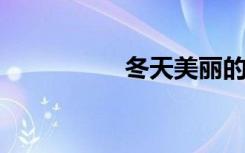 冬天美丽的词语和句子