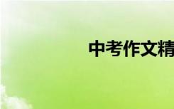 中考作文精选优美段落