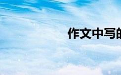 作文中写的漂亮句子