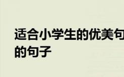 适合小学生的优美句子摘录 摘录中适合抄写的句子