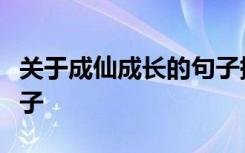 关于成仙成长的句子摘抄成长中充满哲理的句子