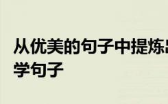 从优美的句子中提炼出可以用于作文的经典美学句子