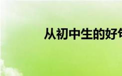 从初中生的好句子中提取短句