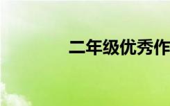 二年级优秀作文 600字左右