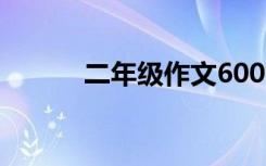 二年级作文600字大全优秀范文